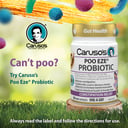 CARUSOS POO EZE PROBIOTIC 60 CAPSULES thumbnail 2