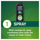 NICORETTE QUICKMIST SMARTTRACK FRESHMINT 150 SPRAYS thumbnail 2
