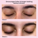 MCO BEAUTY LASH & BROW GROWTH SUPER BOOSTING SERUM 8ML thumbnail 4