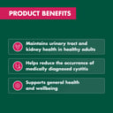 NATURES OWN HIGH STRENGTH CRANBERRY 50000MG 90 CAPSULES thumbnail 6