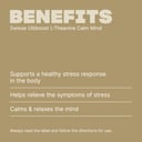 SWISSE ULTIBOOST L-THEANINE CALM MIND 50 CAPSULES thumbnail 3