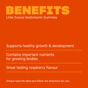 SWISSE LITTLE MULTIVITAMIN 50 GUMMIES thumbnail 3