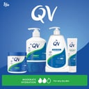 EGO QV CREAM 1KG thumbnail 6