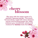 OGX CHERRY BLOSSOM CONDITIONER 385ML thumbnail 7