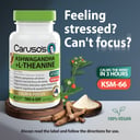 CARUSOS ASHWAGHANDA + L-THEANINE 60 TABLETS thumbnail 2