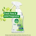 DETTOL ANTIBACTERIAL MULTI PURPOSE SPRAY LIME MINT 500ML thumbnail 4