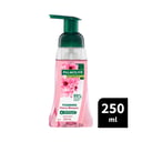 PALMOLIVE FOAMING HAND WASH JAPANESE CHERRY BLOSSOM 250ML thumbnail 8