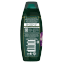 PALMOLIVE LUMINOUS COCONUT OIL & FRANGIPANI CONDITIONER 350ML thumbnail 2