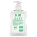 DETTOL SOFT ON SKIN LIQUID HAND WASH ANTIBACTERIAL ALOE VERA 250ML thumbnail 2