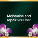 PALMOLIVE LUMINOUS COCONUT OIL & FRANGIPANI CONDITIONER 350ML thumbnail 3