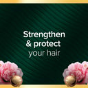 PALMOLIVE LUMINOUS ARGAN OIL & CAMELLIA CONDITIONER 350ML thumbnail 4