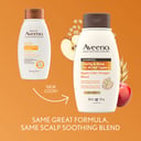 AVEENO CIDER VINEGAR SHAMPOO 354ML thumbnail 4