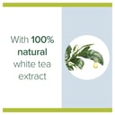PALMOLIVE ANTIBACTERIAL  HAND WASH  WHITE TEA 250ML thumbnail 4