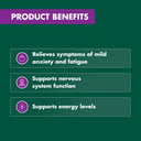 NATURES OWN MILD ANXIETY ASHWAGANDHA 60 TABLETS thumbnail 6