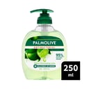 PALMOLIVE ANTIBACTERIAL  HAND WASH LIME ODOUR NEUTRAL 250ML thumbnail 7