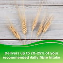 BENEFIBER NATURAL FIBRE 261G thumbnail 6