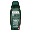 PALMOLIVE LUMINOUS ARGAN OIL & CAMELLIA CONDITIONER 350ML thumbnail 2