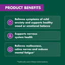 NATURES OWN MOOD BALANCE ST JOHNS WORT 50 TABLETS thumbnail 9
