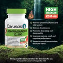 CARUSOS ASHWAGANDHA 12,500 50 TABLETS thumbnail 3
