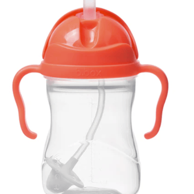 BBOX SIPPY CUP WATERMELON 240ML