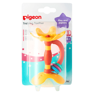 PIGEON TEETHER TRAINING STEP 1