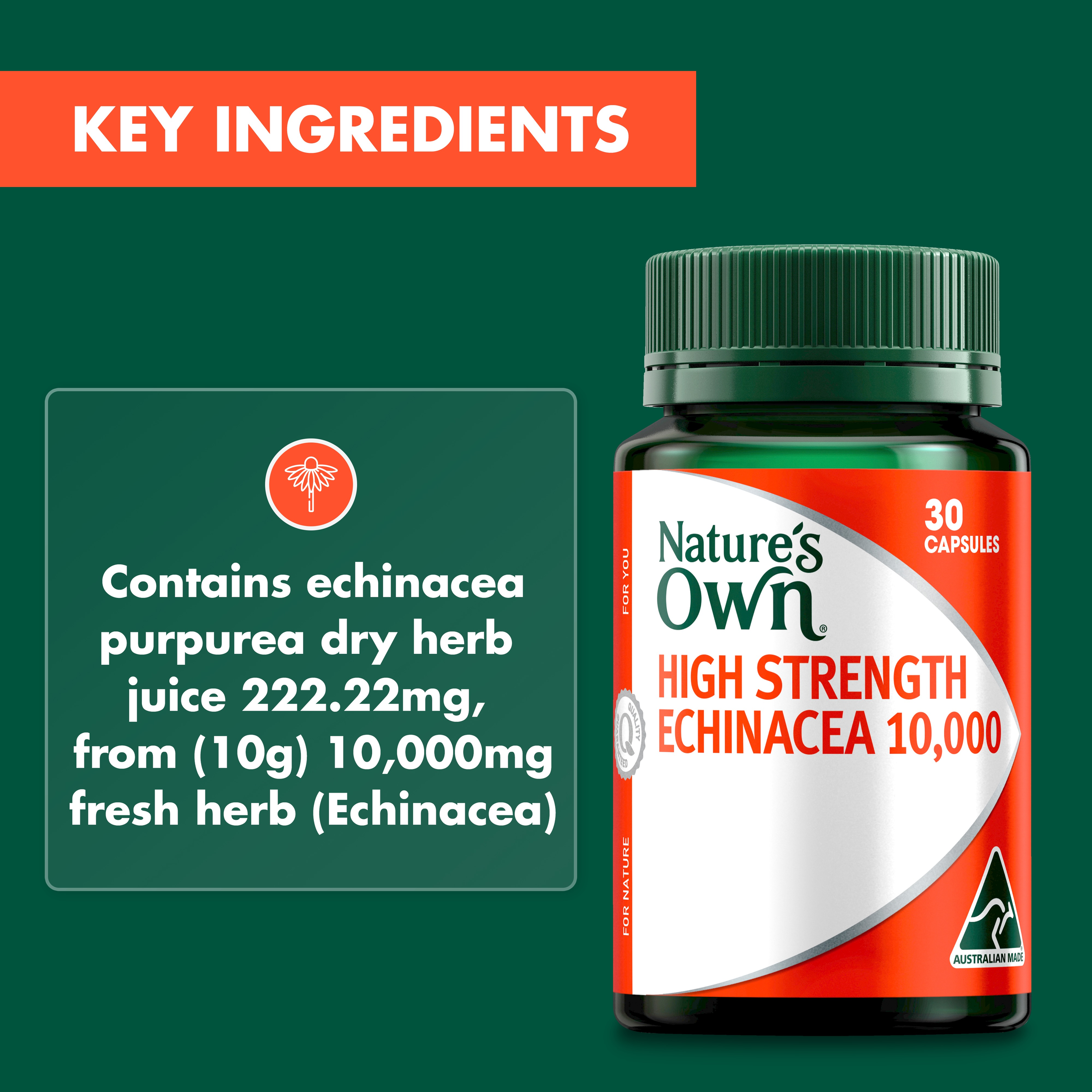 NATURES OWN HIGH STRENGTH ECHINACEA 10000MG 30 CAPSULES - Image 5