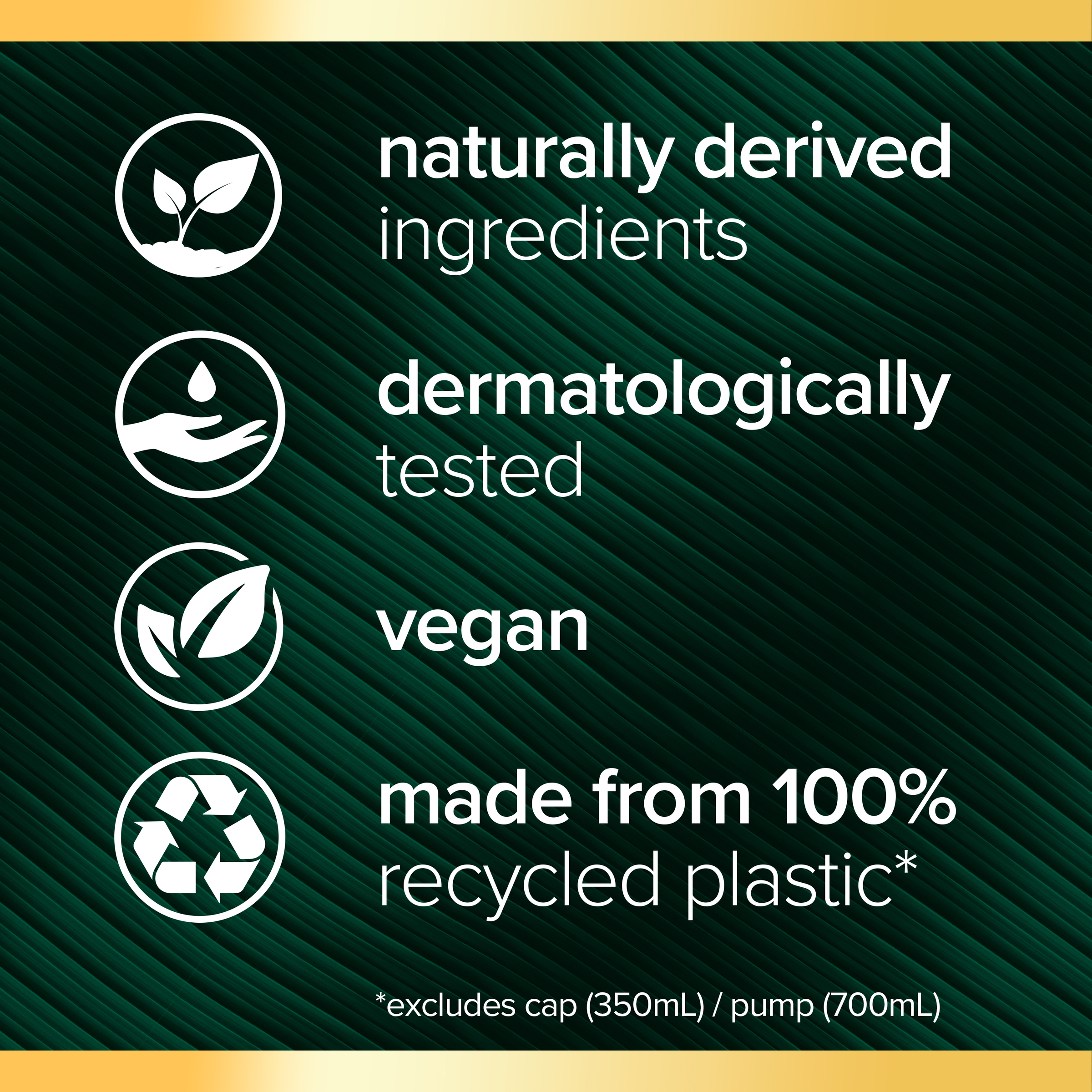 PALMOLIVE LUMINOUS COCONUT OIL & FRANGIPANI CONDITIONER 350ML - Image 6