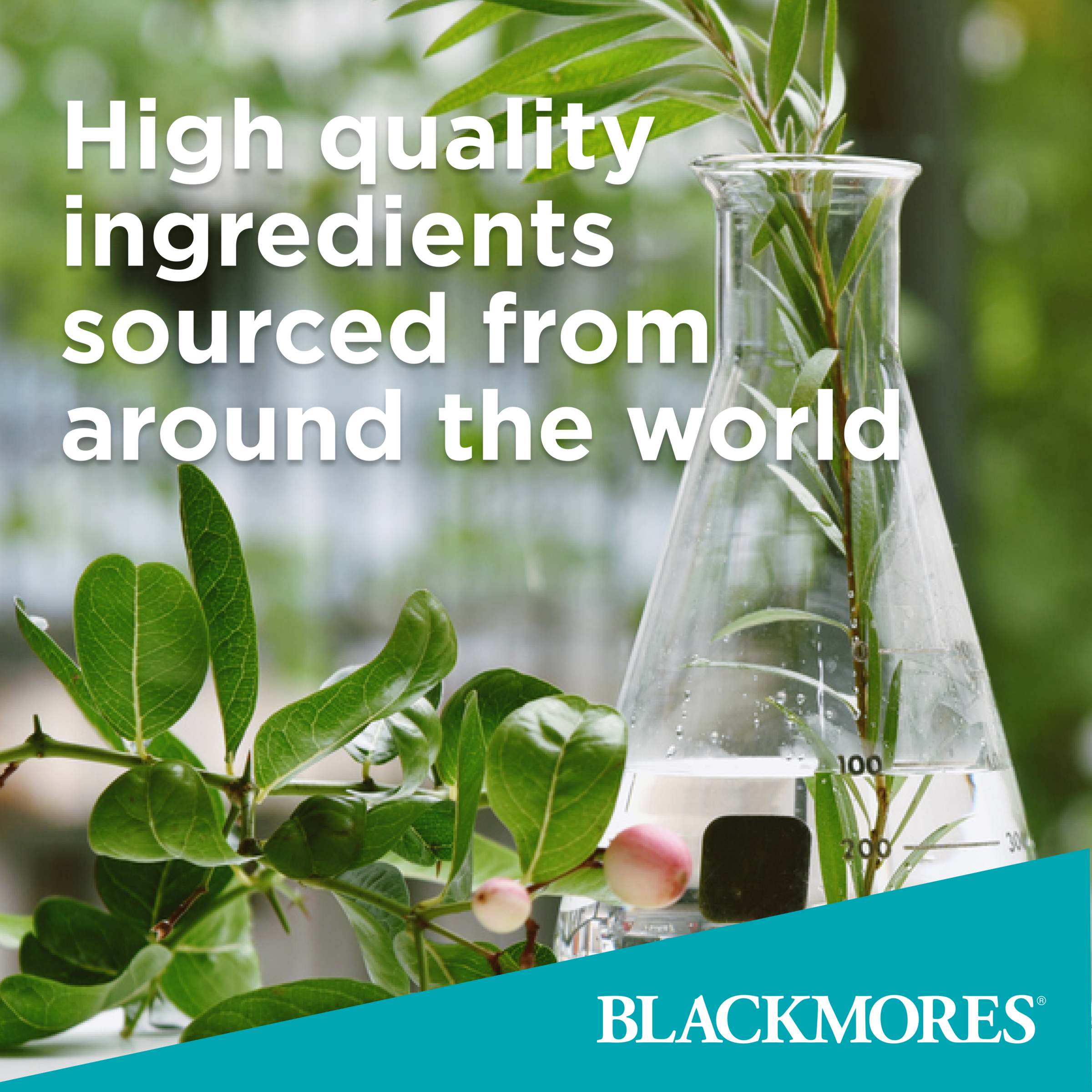 BLACKMORES BIO C 1000 31 TABLETS - Image 5