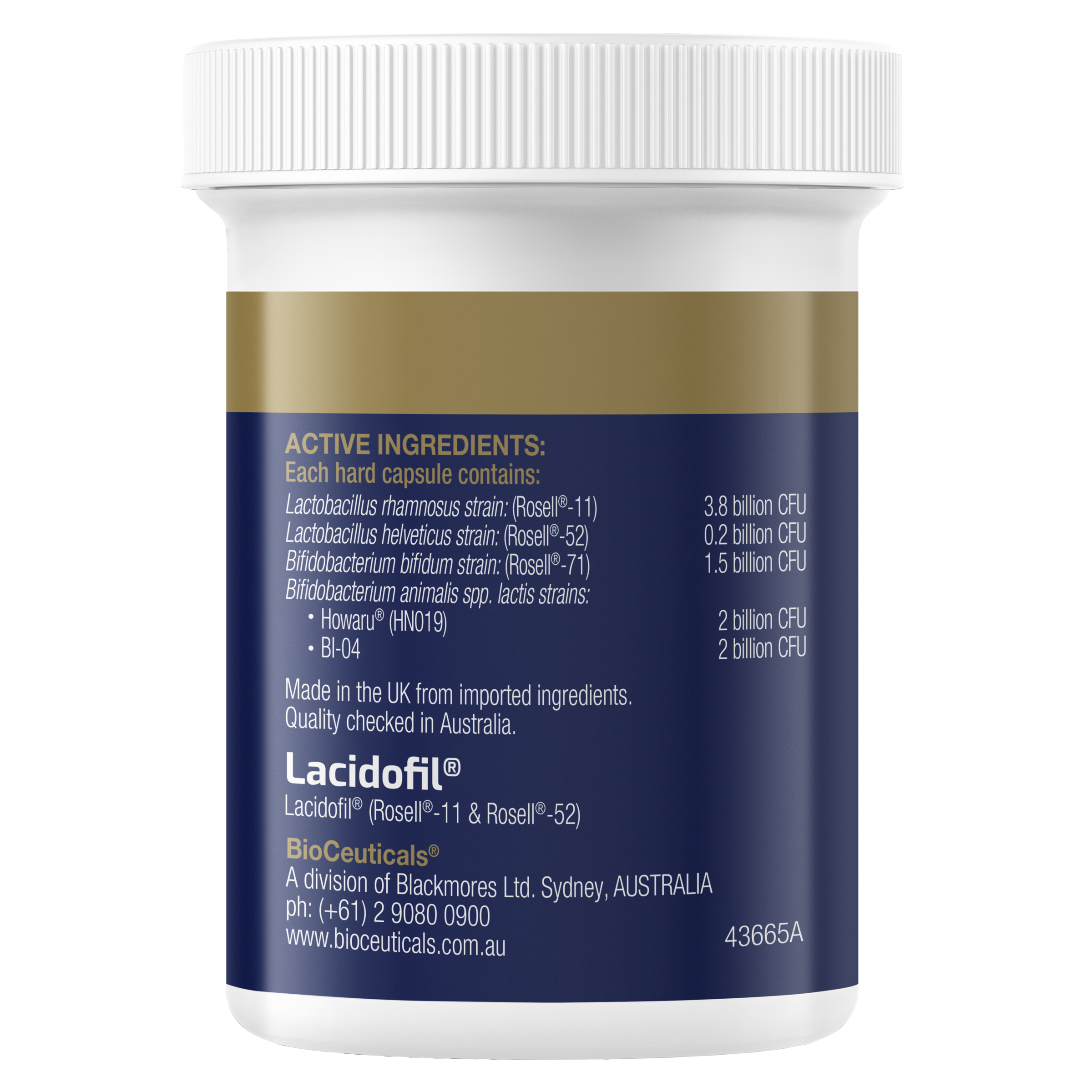 Bioceuticals Ultrabiotic Immune + Antioxidant 30 Capsules - Image 3