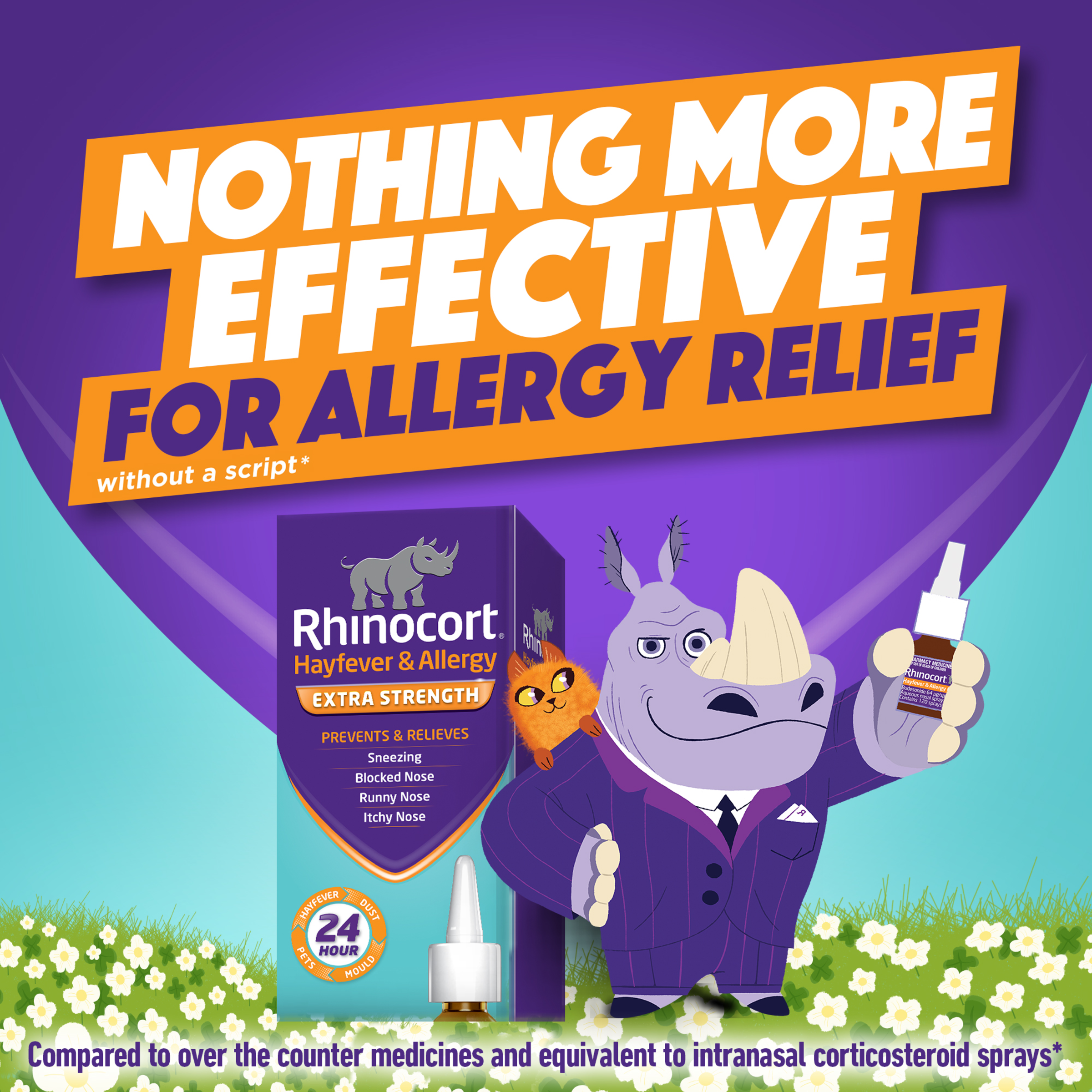 RHINOCORT HAYFEVER NASAL SPRAY 64MCG 120 DOSE TWIN PACK - Image 8