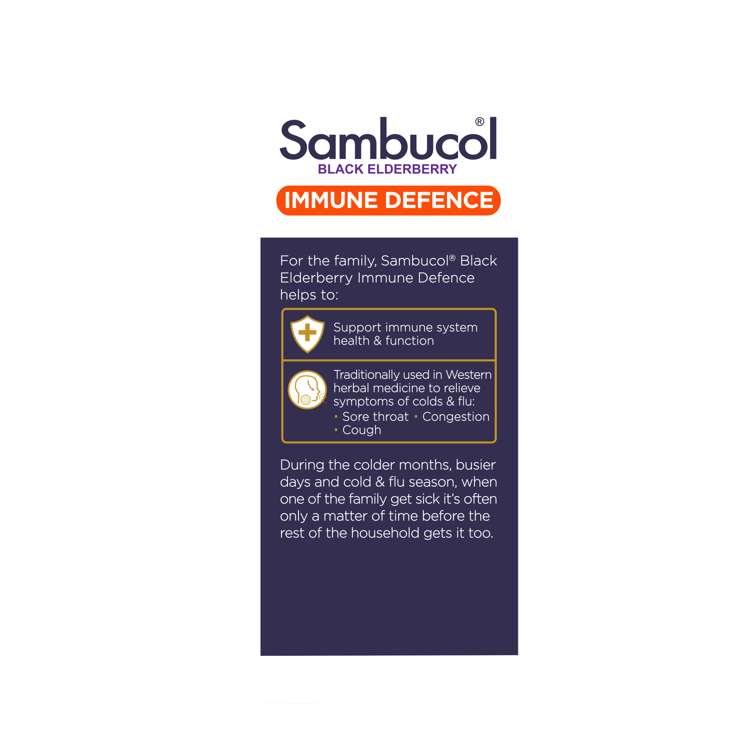 SAMBUCOL IMMUNE DEFENCE 250ML - Image 4