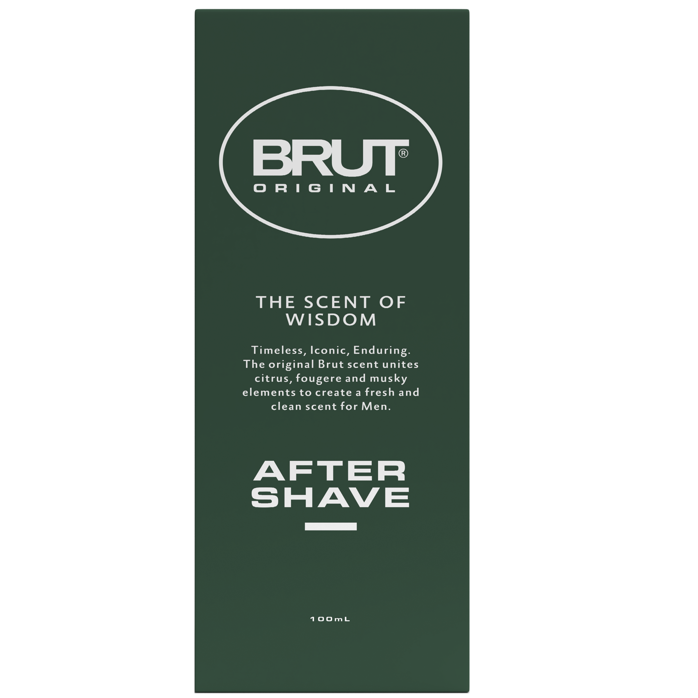 BRUT AFTER SHAVE LOTION 100ML - Image 2