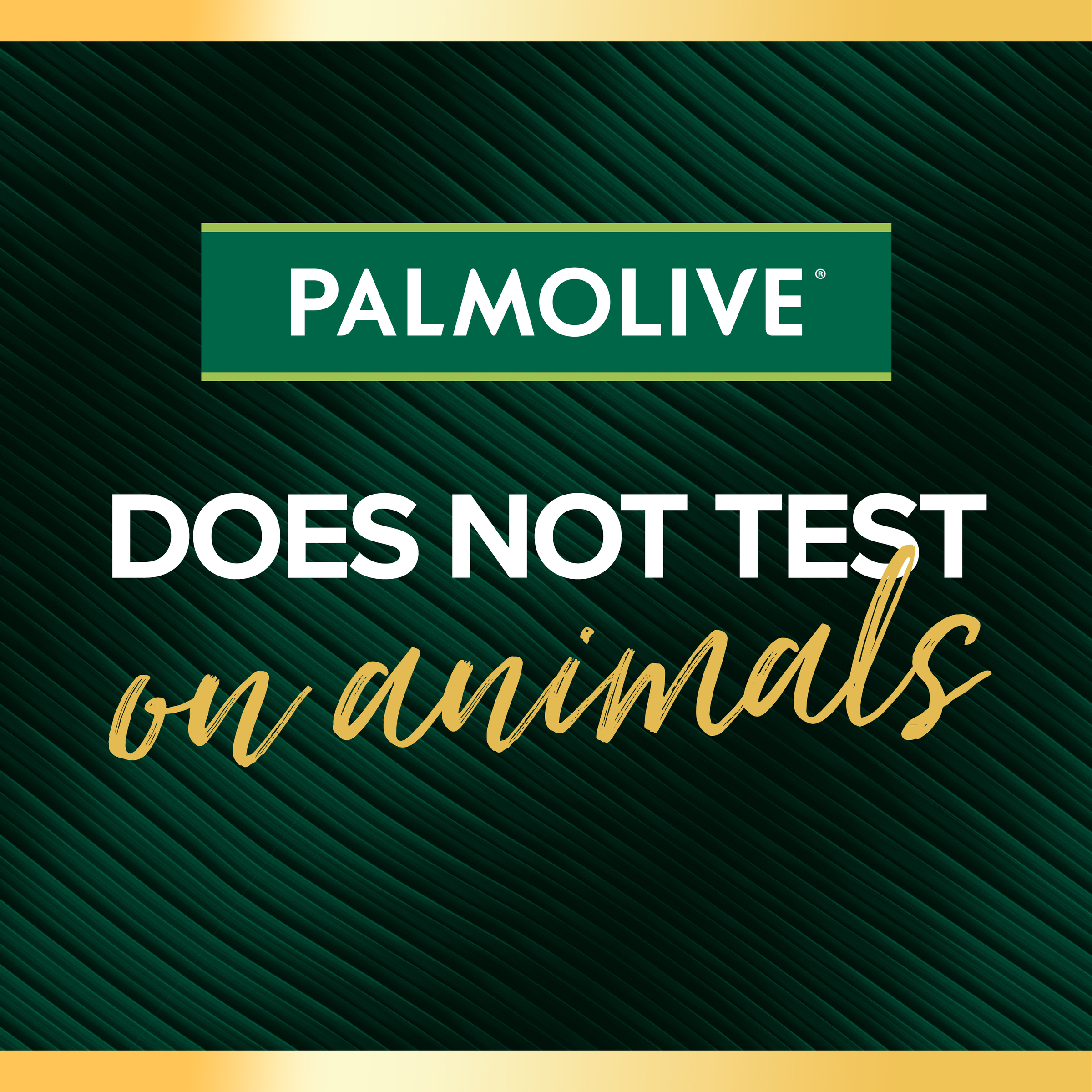 PALMOLIVE LUMINOUS COCONUT OIL & FRANGIPANI CONDITIONER 350ML - Image 8