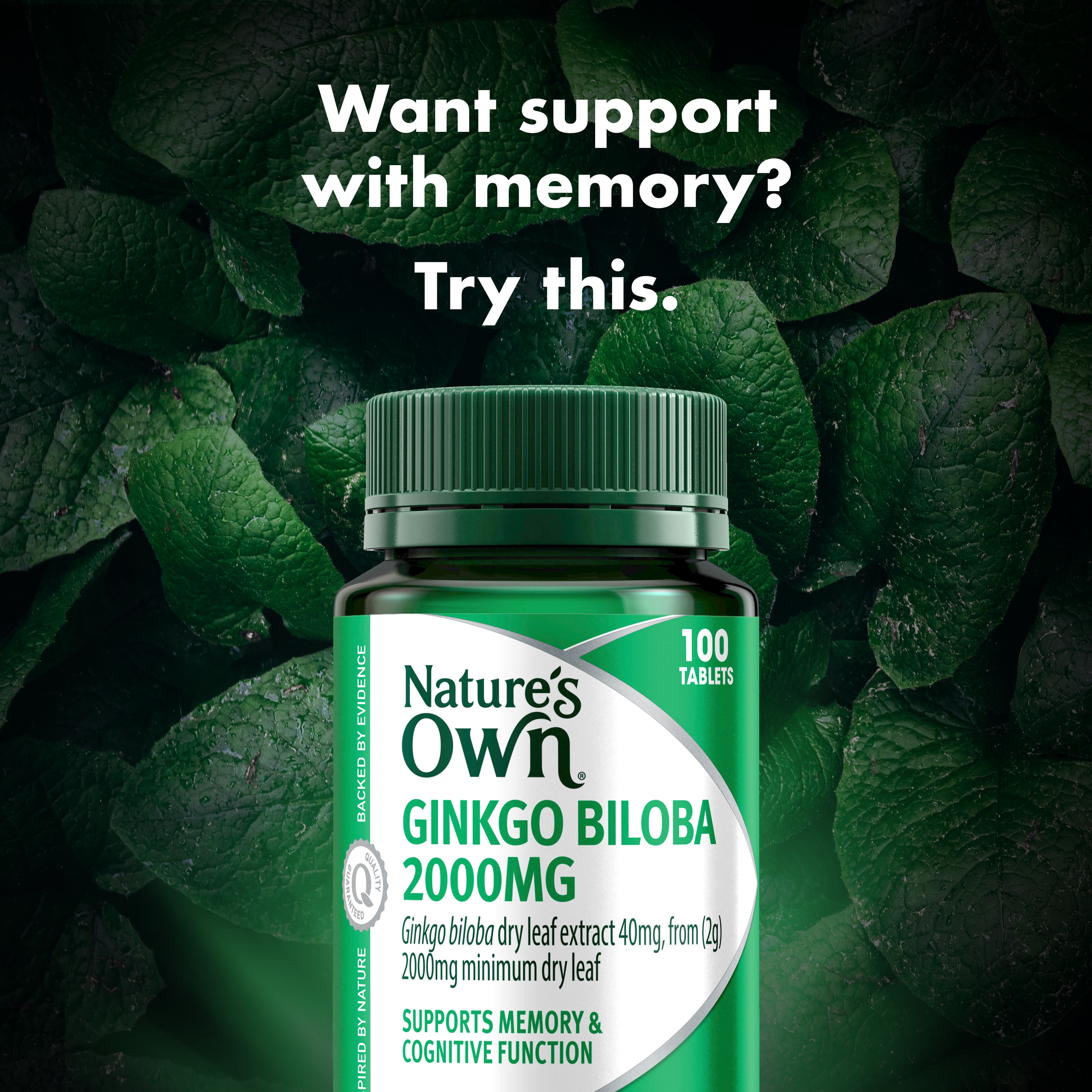 NATURES OWN GINKGO BILOBA 100 TABLETS - Image 3