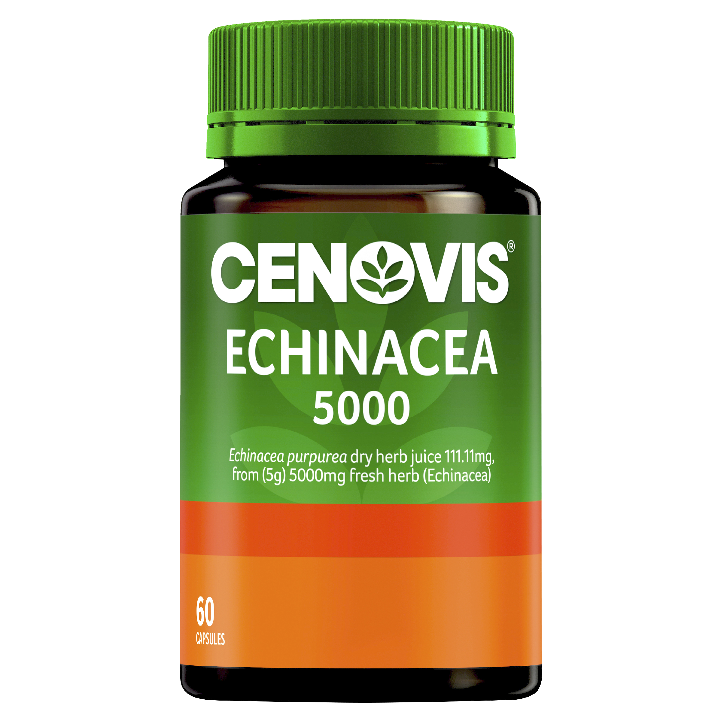 CENOVIS ECHINACEA 5000 60 CAPSULES - Image 5