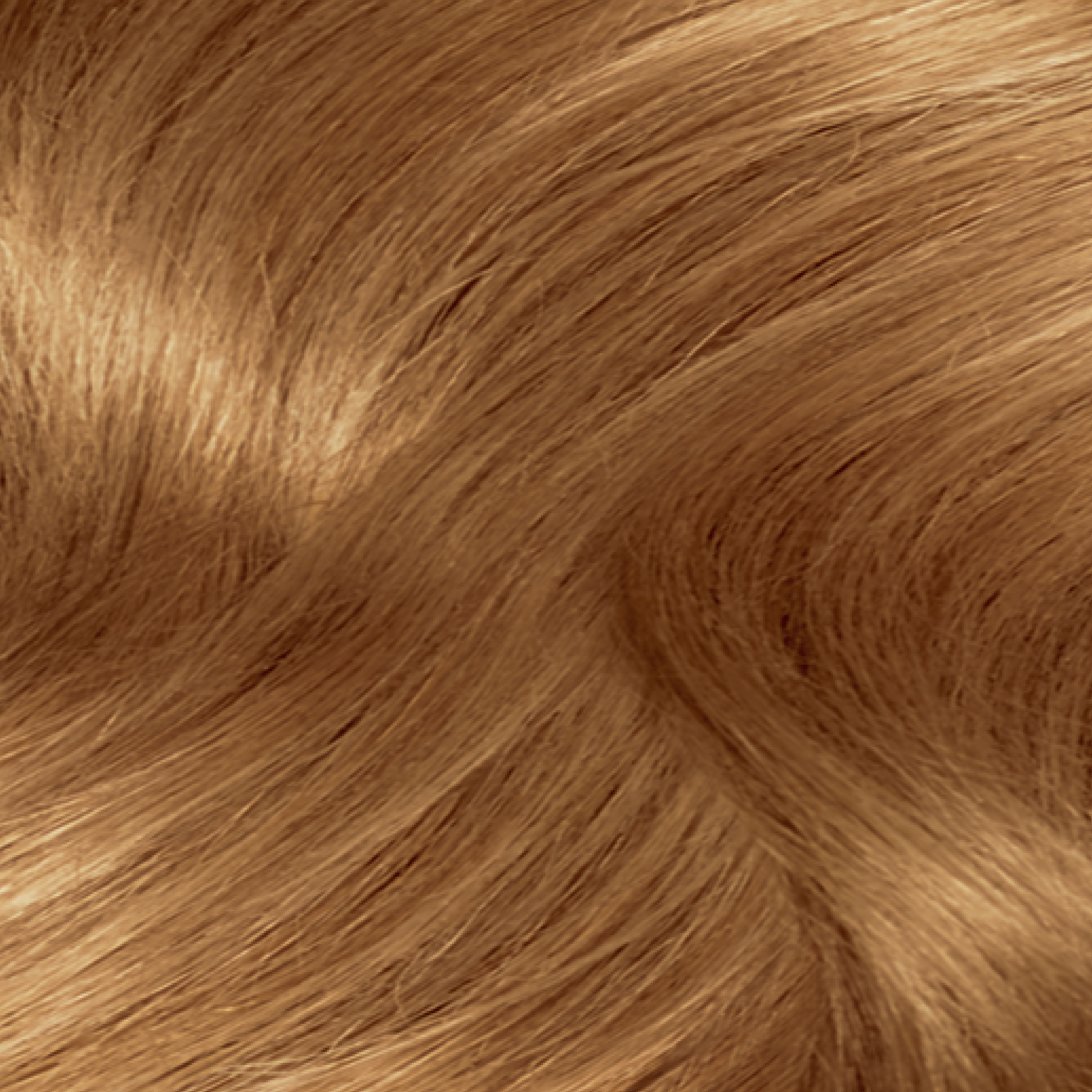 CLAIROL NICE N EASY 8WR GOLDEN AUBURN - Image 7