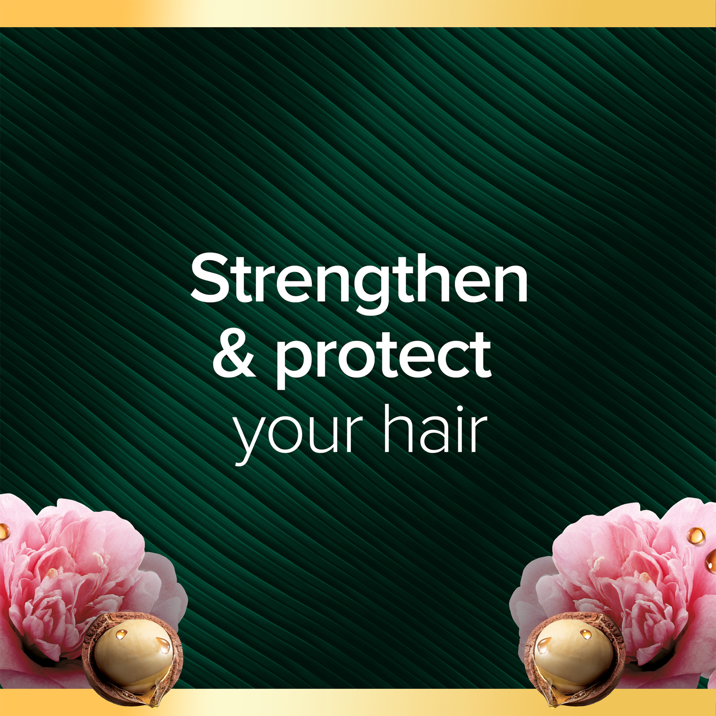 PALMOLIVE LUMINOUS ARGAN OIL & CAMELLIA CONDITIONER 350ML - Image 4