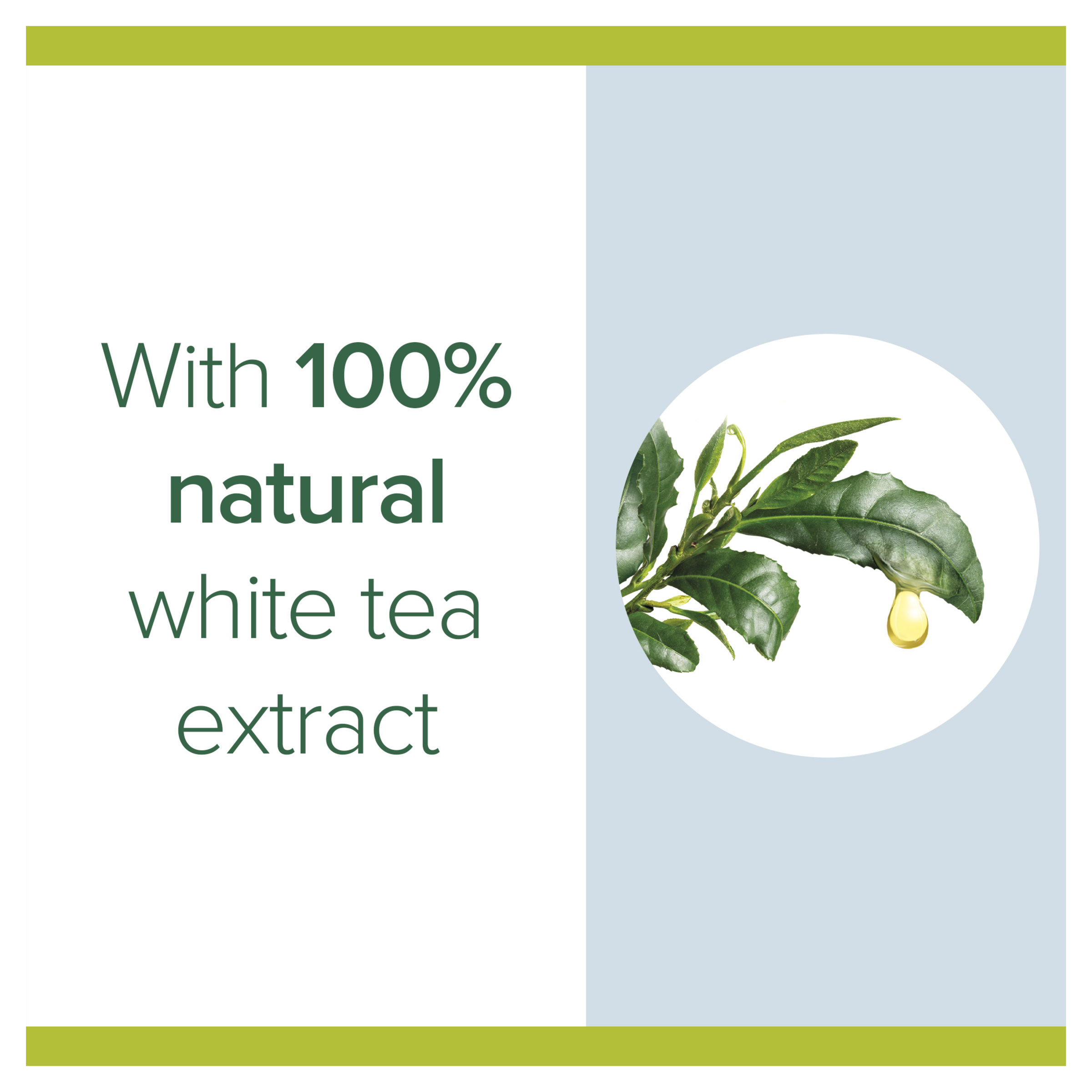 PALMOLIVE ANTIBACTERIAL  HAND WASH  WHITE TEA 250ML - Image 4