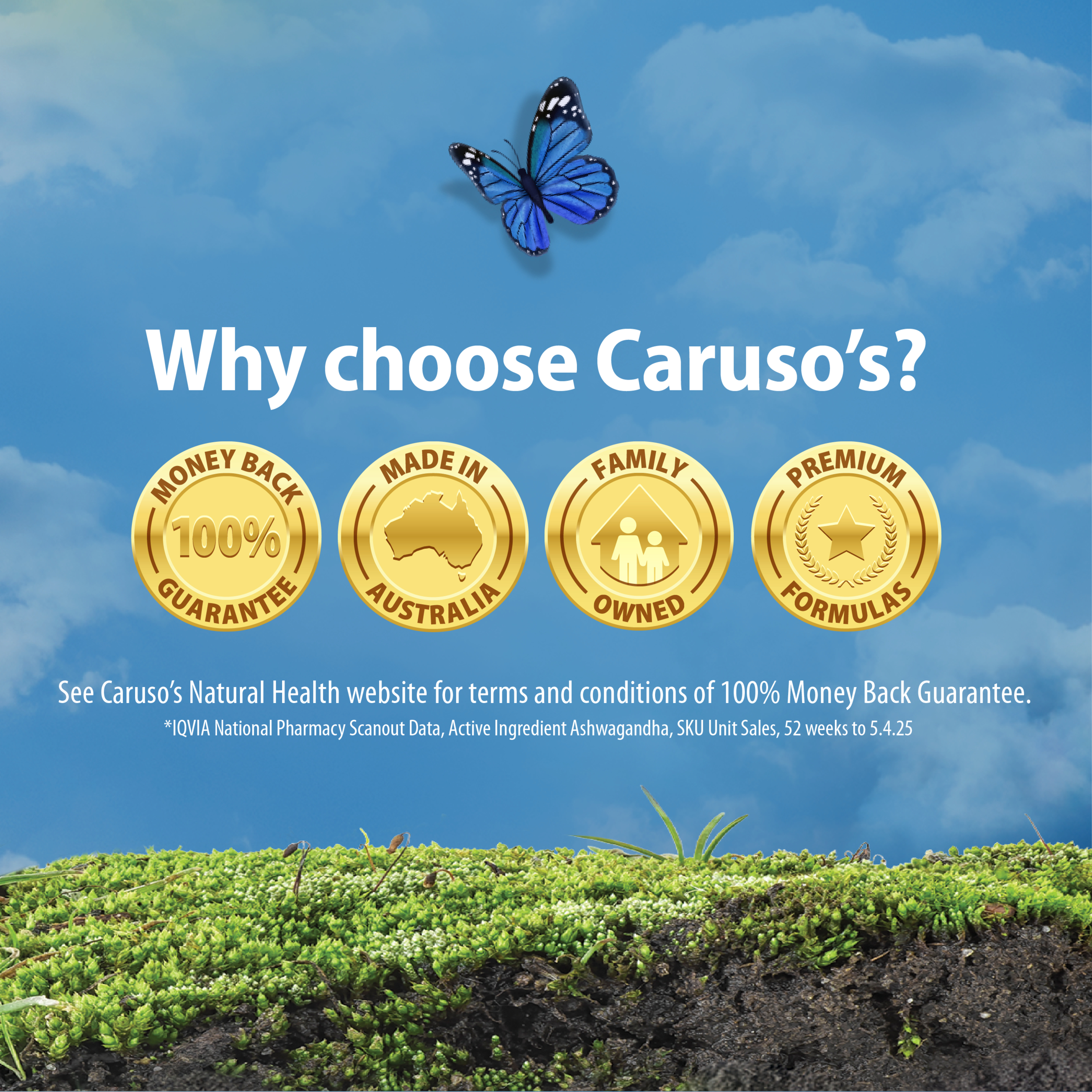 CARUSOS ASHWAGANDHA + ENERGY 42 TABLETS - Image 2