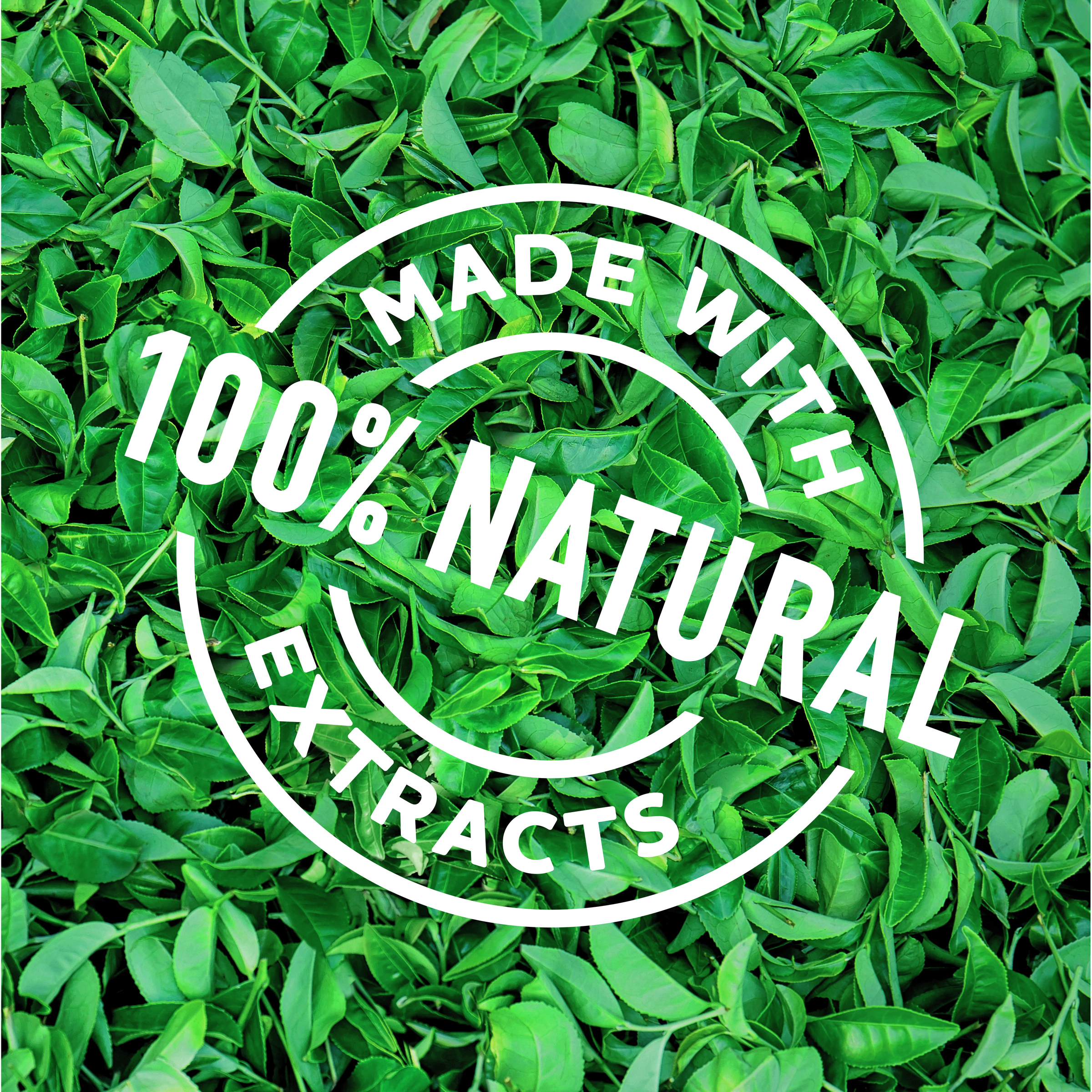 ST IVES GREEN TEA BLACKHEAD SCRUB 150ML - Image 4