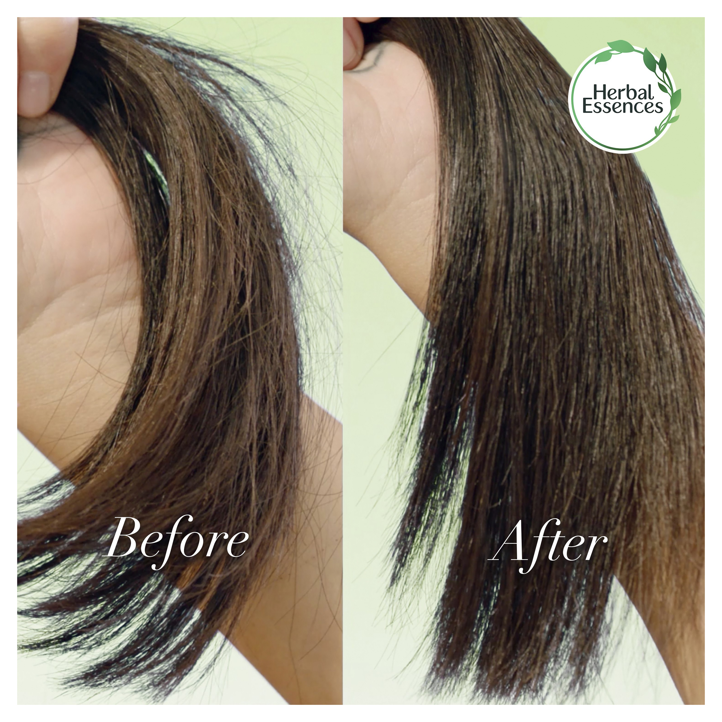 HERBAL ESSENCES BIO RENEW COCONUT MILK SHAMPOO 400ML - Image 6
