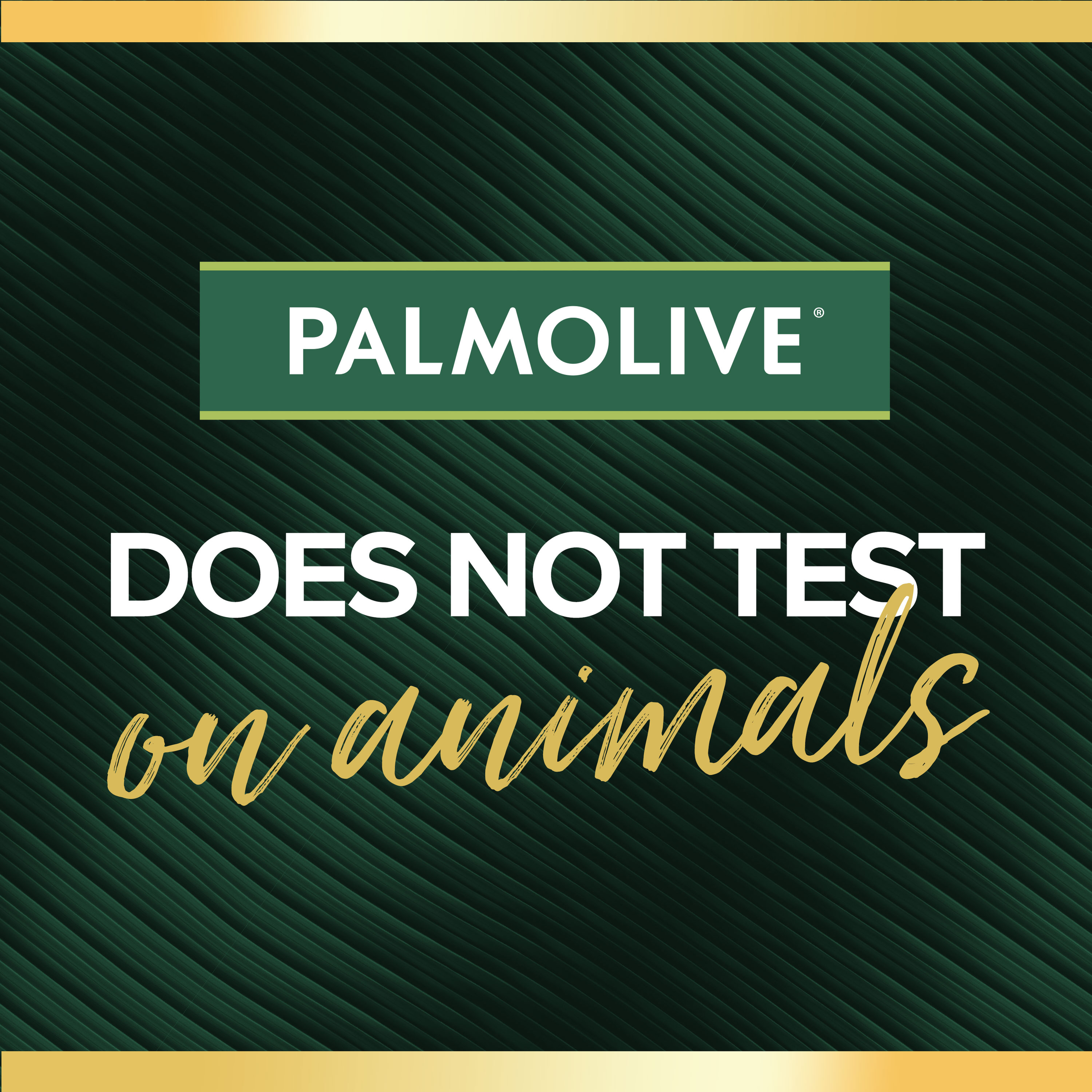 PALMOLIVE LUMINOUS OILS HAND WASH MACADAMIA OIL & PEONY 500ML - Image 8