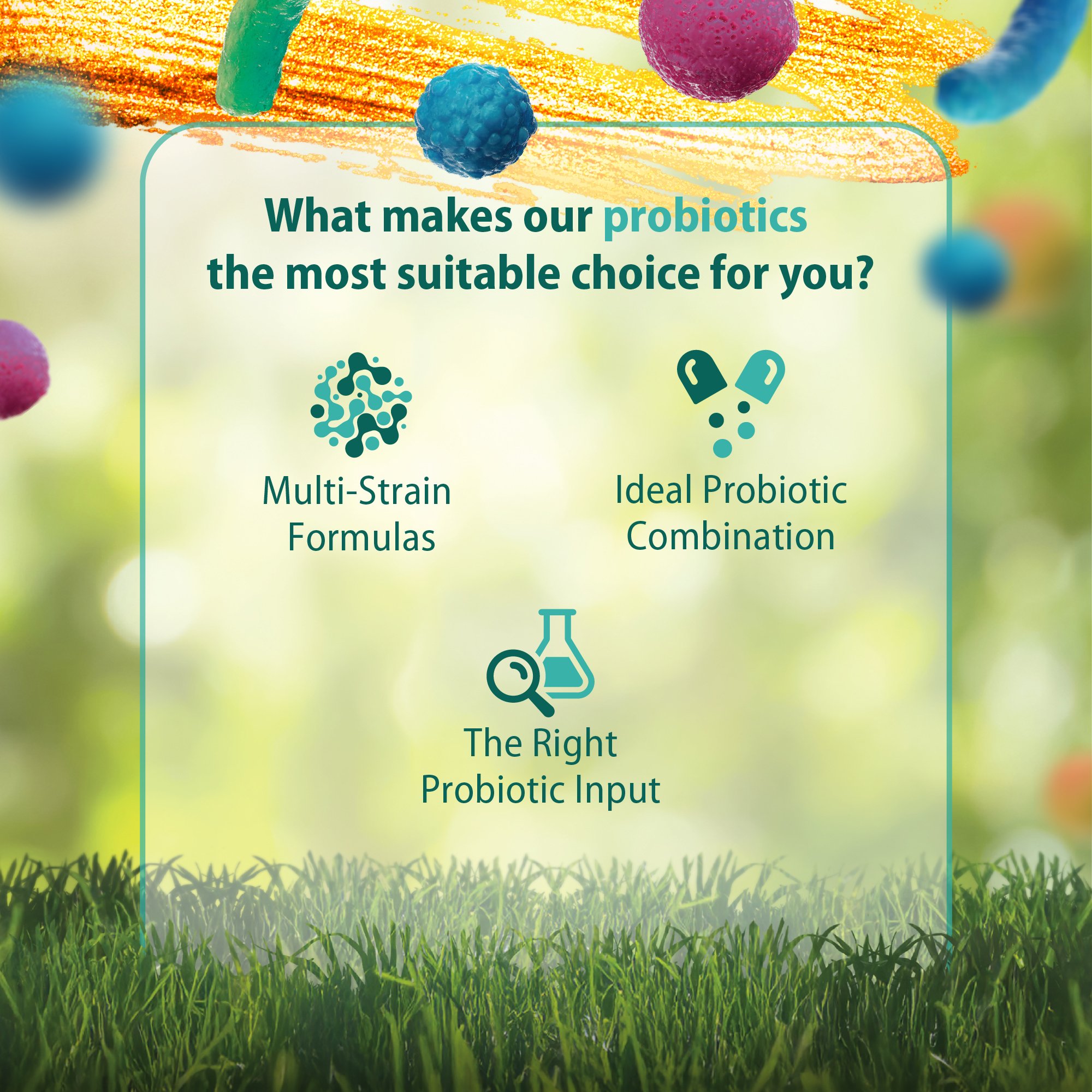 CARUSOS IBS FIGHTER PROBIOTIC 30 CAPSULES - Image 3
