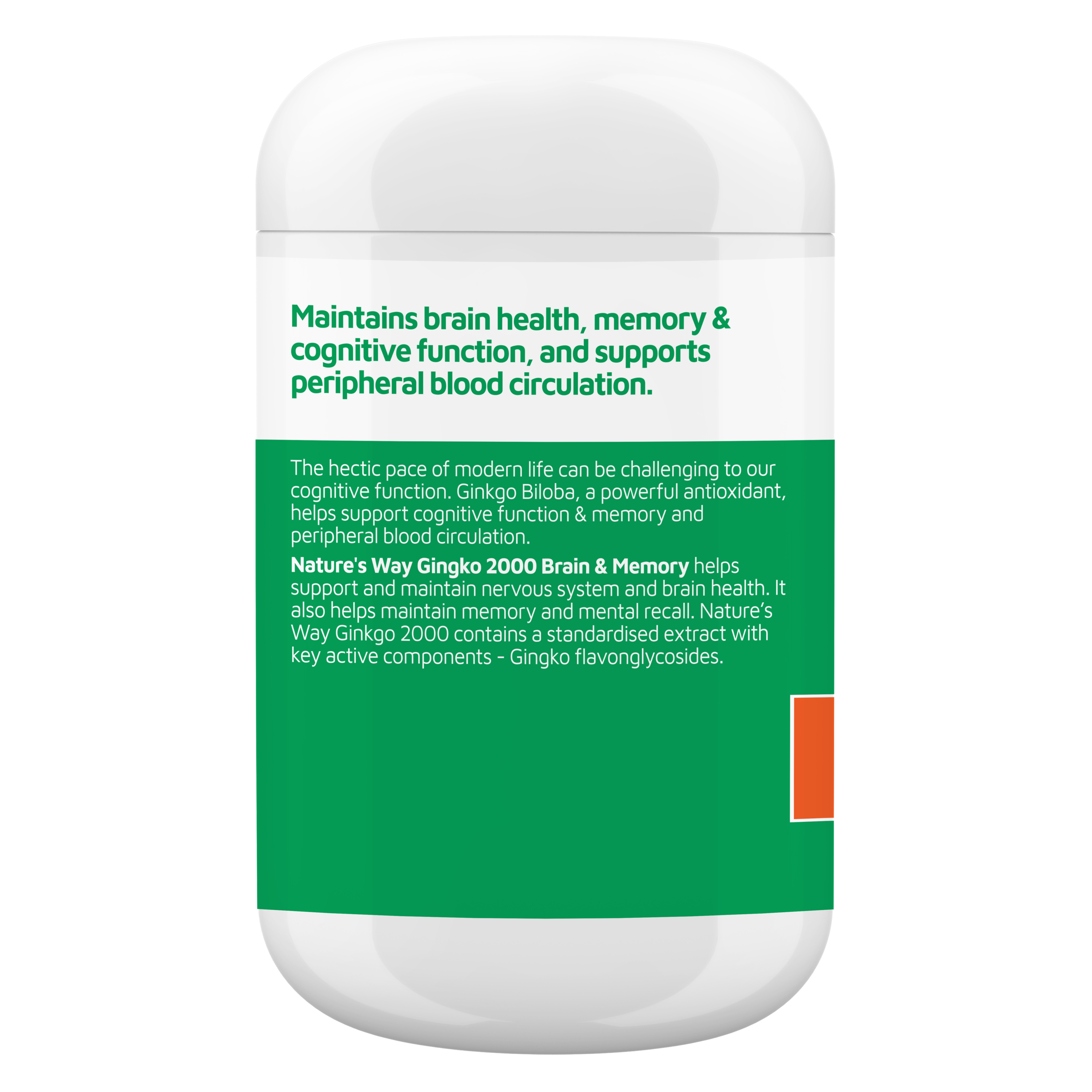 NATURES WAY 2000 BRAIN & MEMORY 120 TABLETS - Image 2