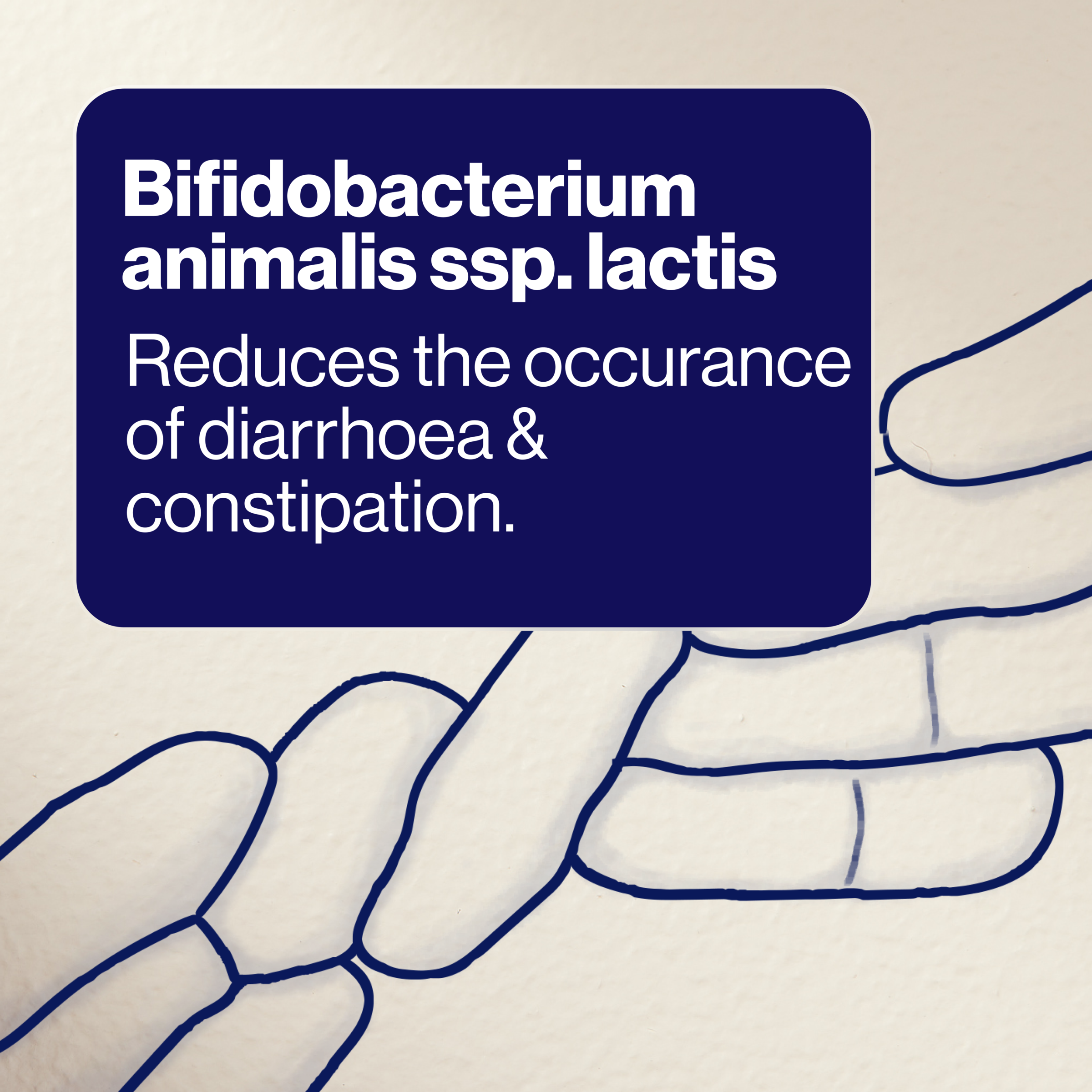 BIOCEUTICALS ULTRABIOTIC IBS 30 CAPSULES - Image 4
