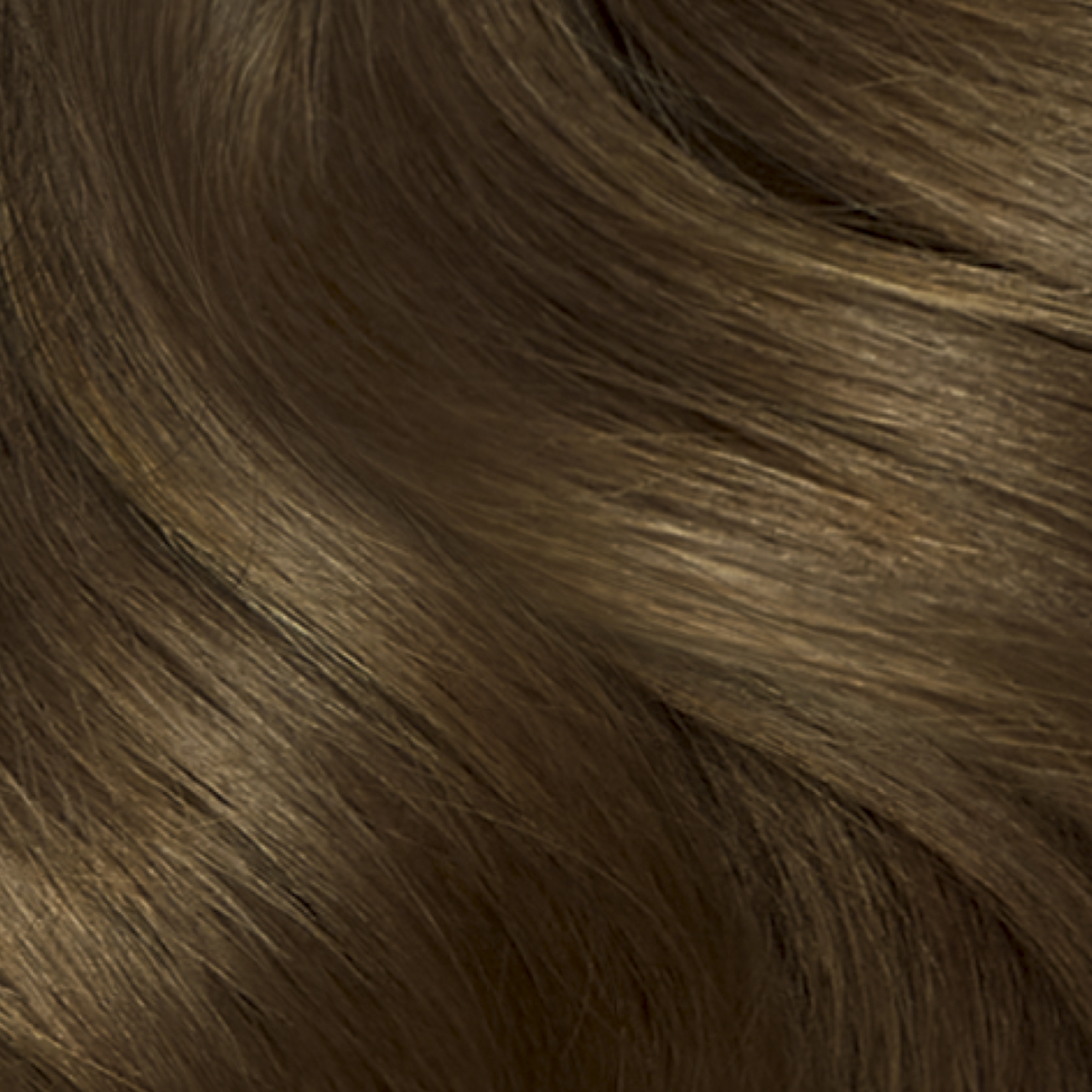 CLAIROL NICE N EASY 5G MEDIUM GOLDEN BROWN - Image 7