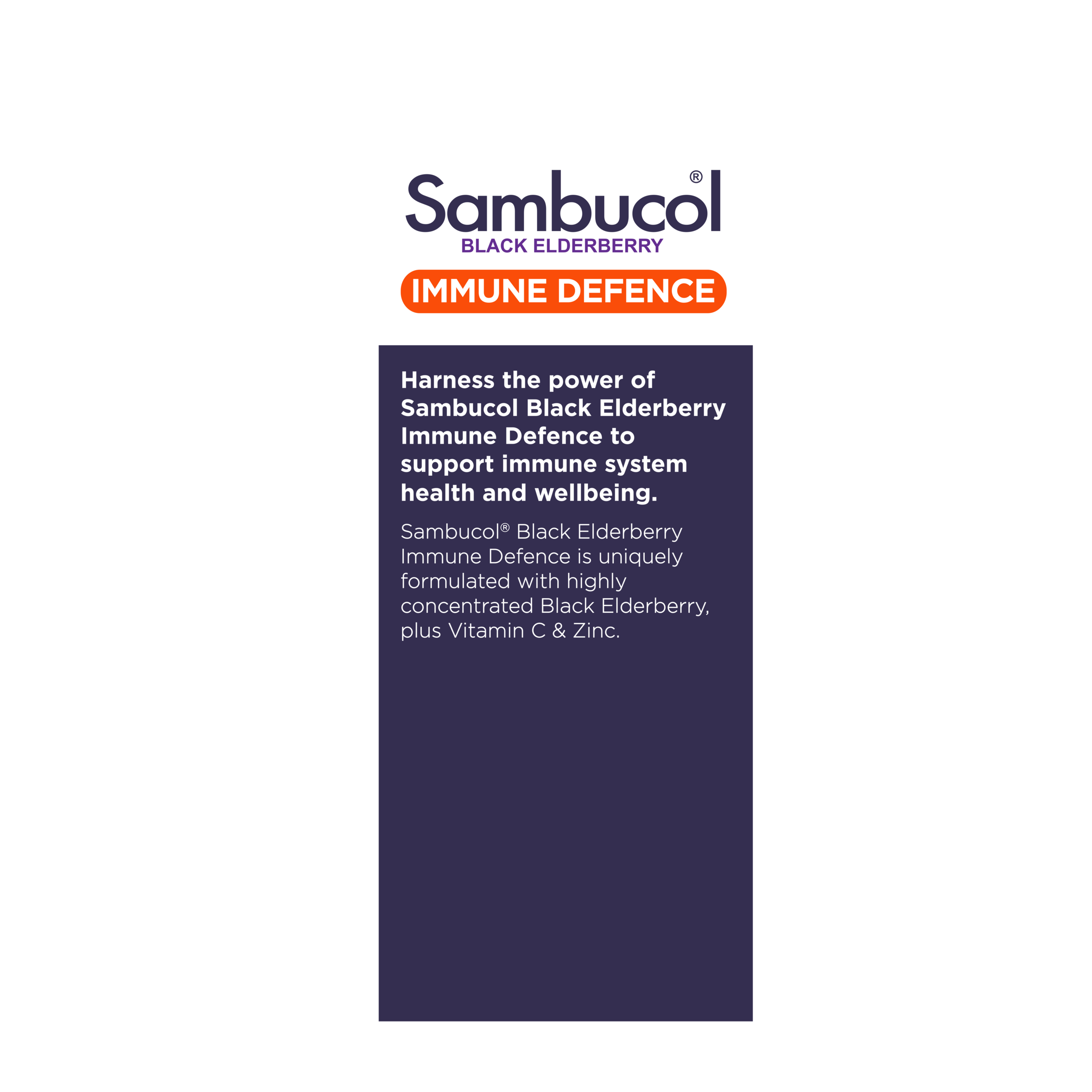 SAMBUCOL IMMUNE DEFENCE 250ML - Image 3