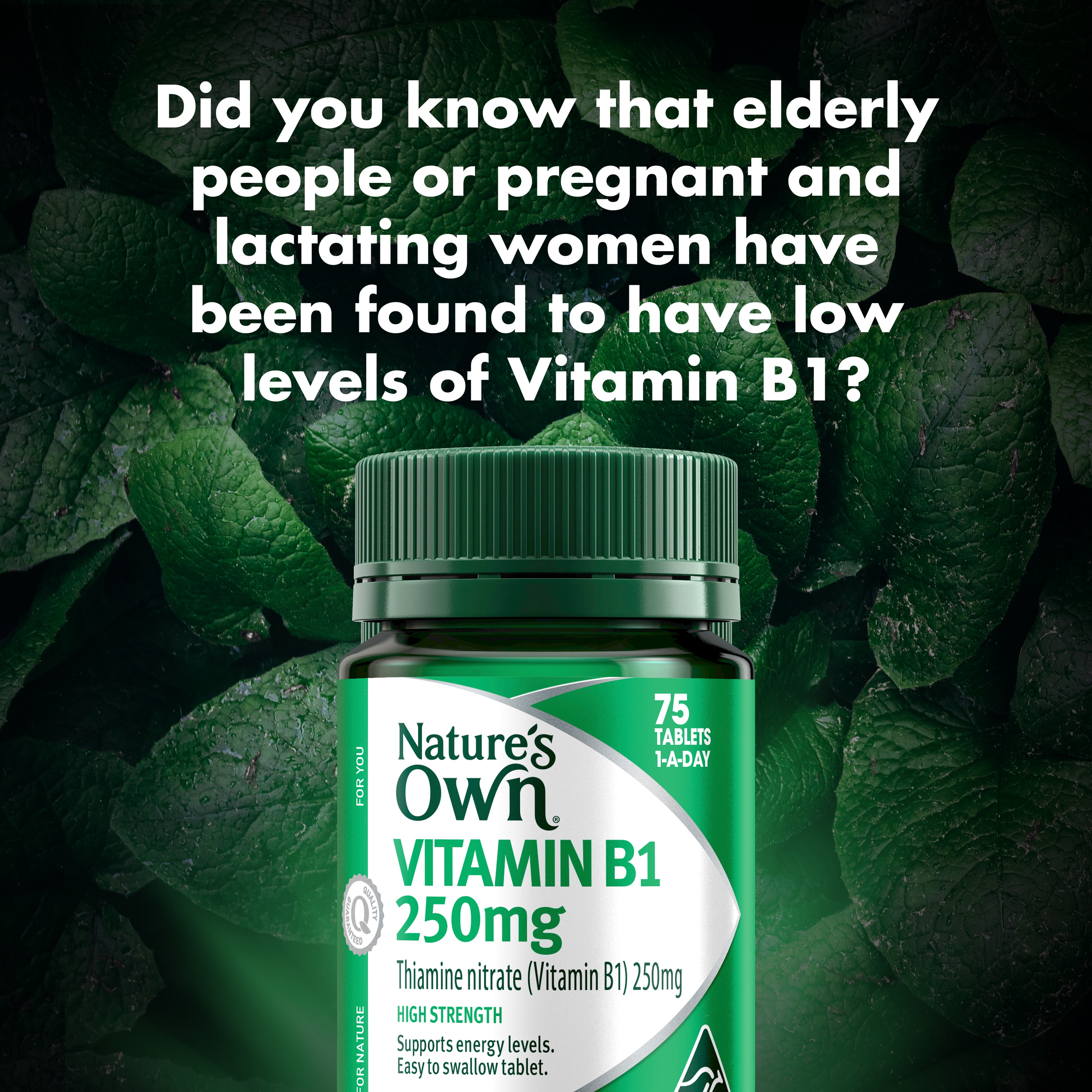 NATURES OWN VITAMIN B1 250MG 75 TABLETS - Image 3